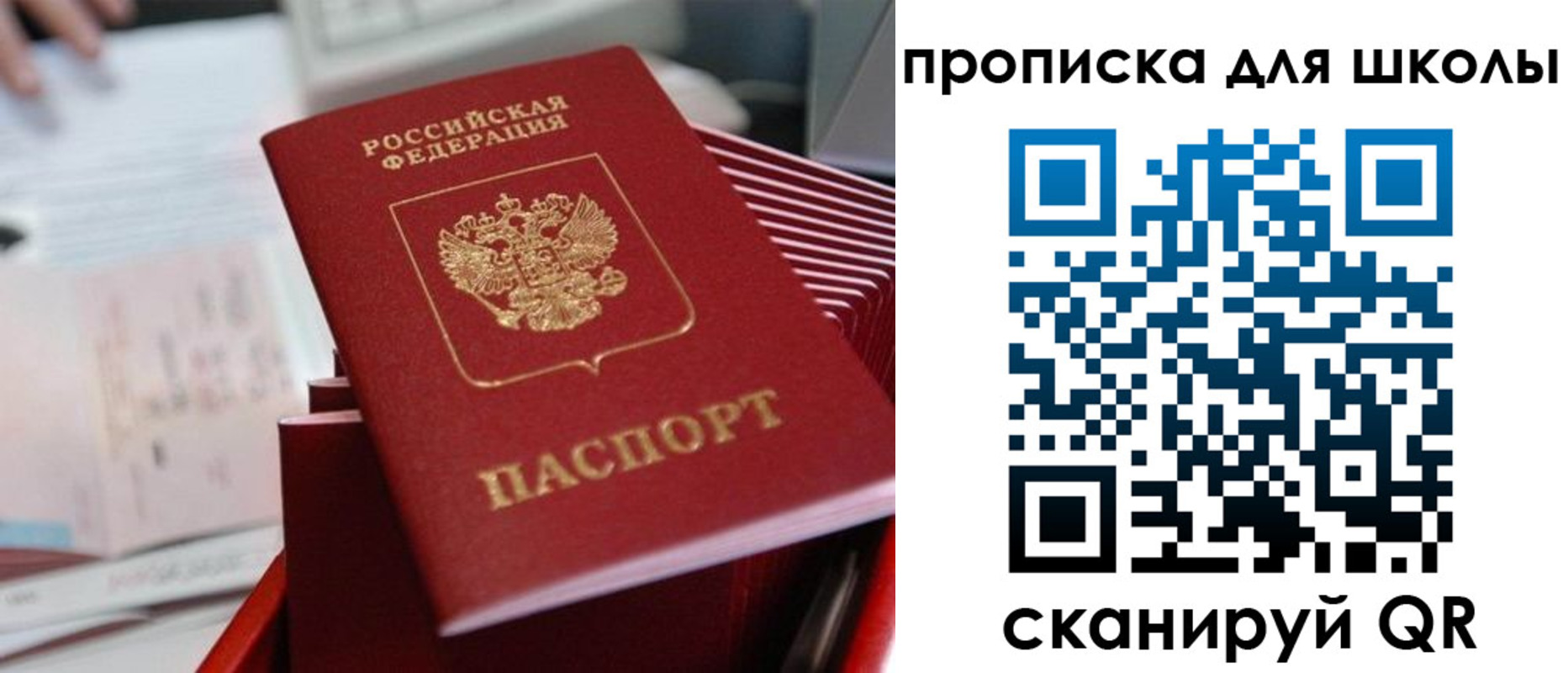 прописка для школы в Алексеевке
